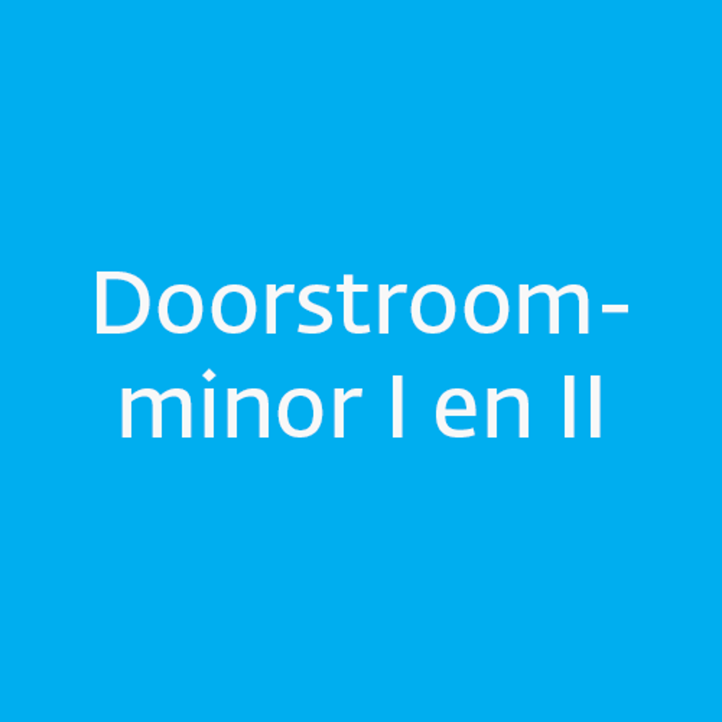 Doorstroomminor I en II loading=