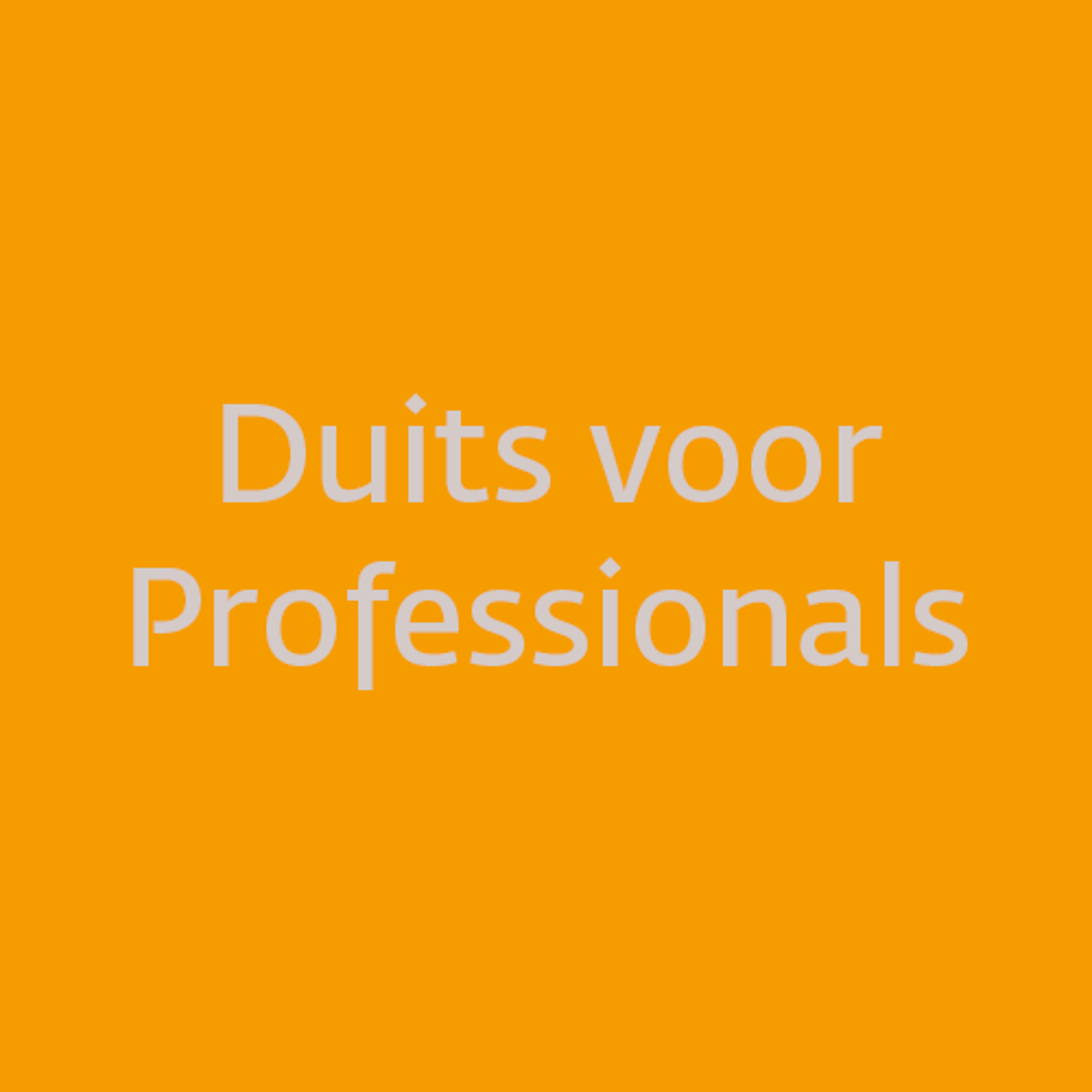 Duits voor Professionals loading=