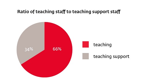 ratio teaching staff vs non teaching staff