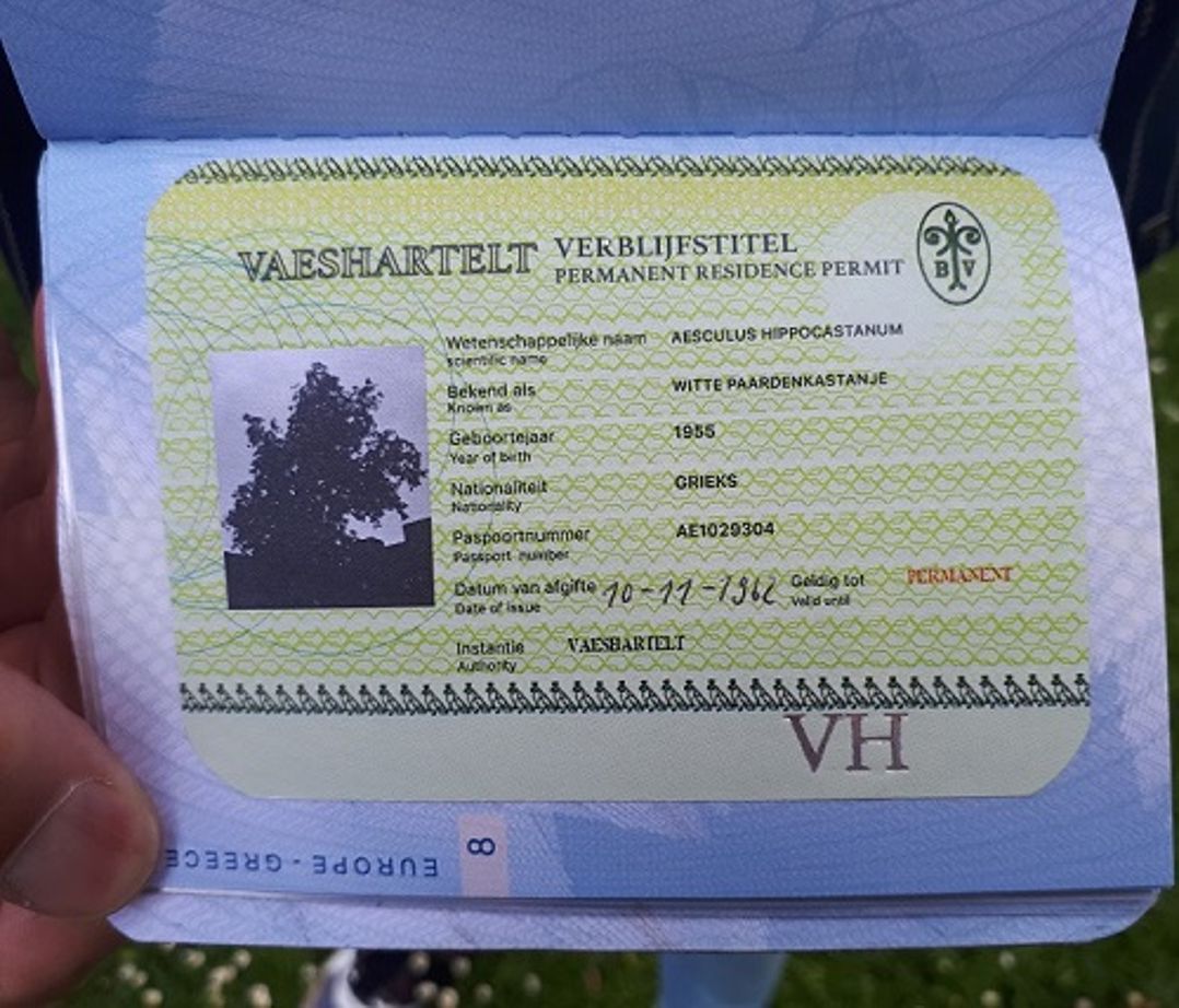 Project The Tree Passports project Nature & Science