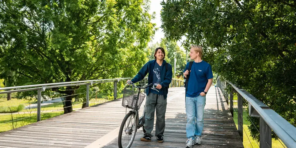 Slices of student life heerlen loopbrug