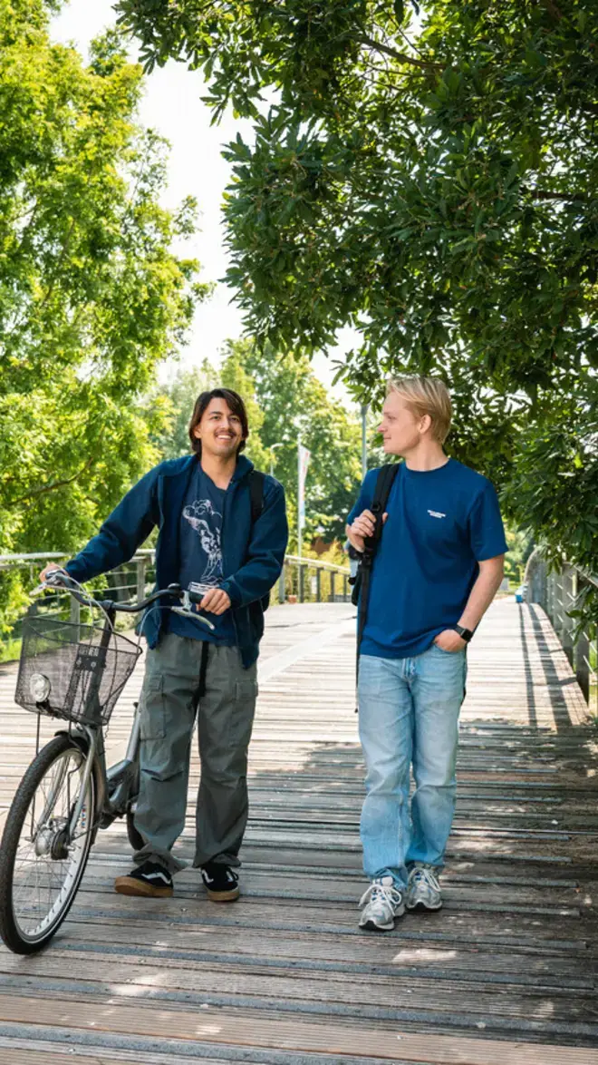 Slices of student life heerlen loopbrug