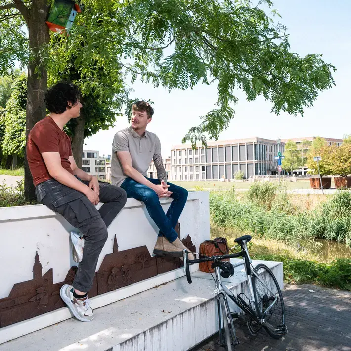 Park Fietsen Boom Zuyd Hogeschool Sittard
