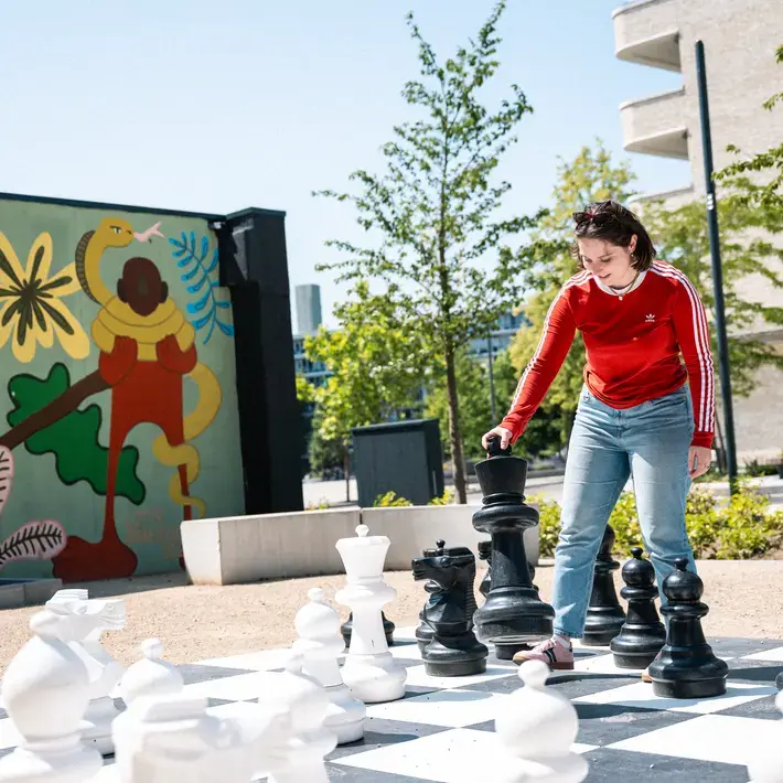 Schaakspel Buiten Partij Zuyd Hogeschool Heerlen