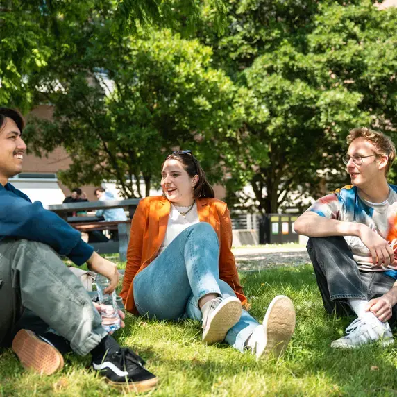Grasveld Praten Zonnig Zuyd Hogeschool Heerlen