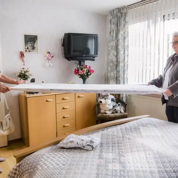 thuiszorg-reablement-Zuyd Professional