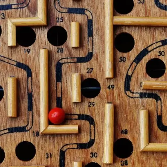 Master Personal Leadership in Innovation and Change Professional