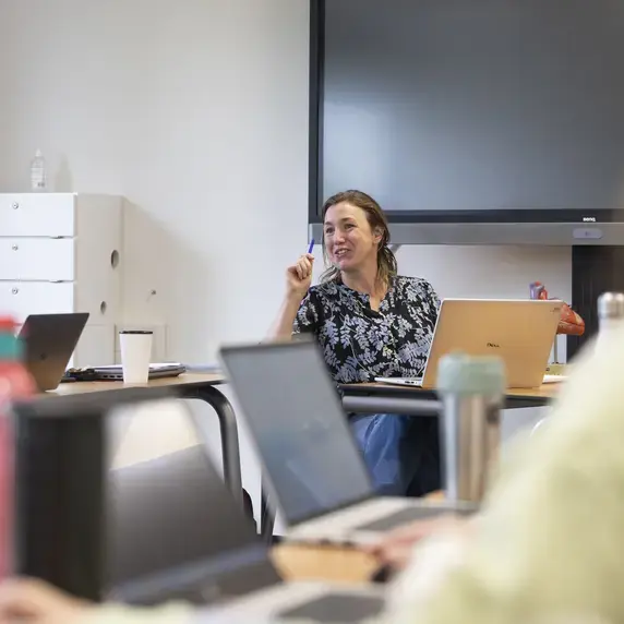 Docentschap opleidingen Zuyd Professional