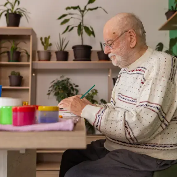 Casemanagement Dementie Zuyd Professional