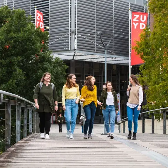 Ergotherapie BSG studenten op brug.jpg