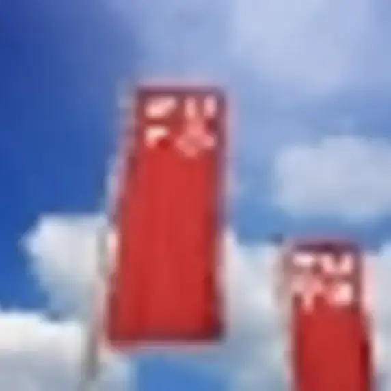 zuyd vlaggen750x500.jpg