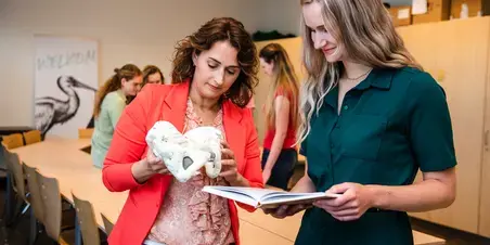 Verloskunde Maastricht docent en student
