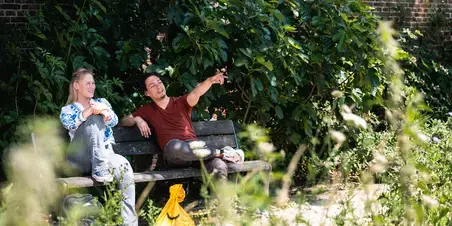 Park Bankje Gebaren Zuyd Hogeschool Sittard