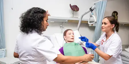 Verpleegkunde meiden met patient 