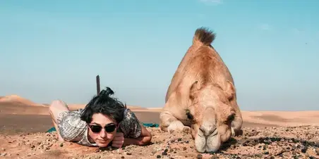 Professional Human Behaviour kameel