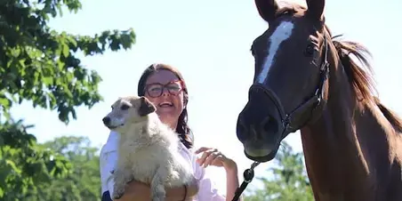 Professional Human Behaviour Organisatiedynamieken Theres