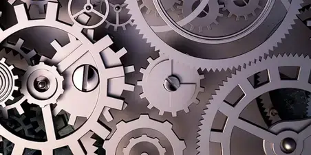 Expert Werkplekleren Professional