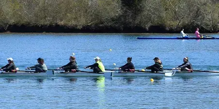 Midden Management opleiding Professional