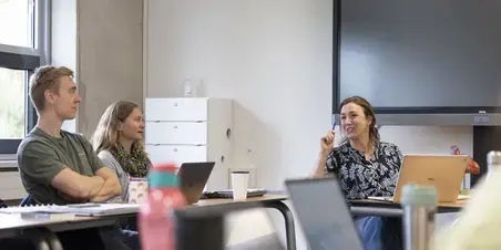 Docentschap opleidingen Zuyd Professional