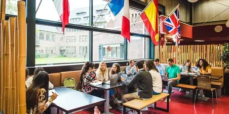 European Studies 700x564.jpg