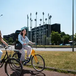 Fiets Stad SamenPraten Zuyd Hogeschool Internationaal