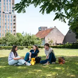 Park Grasveld Gesprek Zuyd Hogeschool Sittard