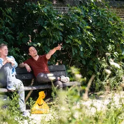 Park Bankje Gebaren Zuyd Hogeschool Sittard