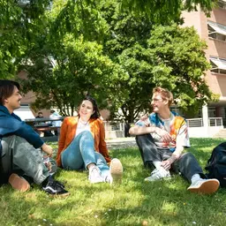 Grasveld Kletsen Liggend Zuyd Hogeschool Heerlen