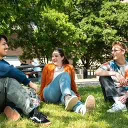 Grasveld Praten Zonnig Zuyd Hogeschool Heerlen