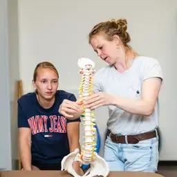 Fysiotherapie - studenten met wervelkolom model