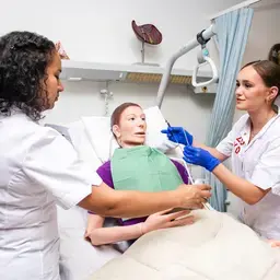 Verpleegkunde meiden met patient 