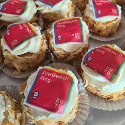 eerste microcredential zuydswitchzorg_zuyd professional