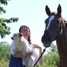 Professional Human Behaviour Organisatiedynamieken Theres