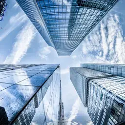 Master Facility and Real Estate Management Professional