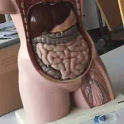 Master Scientific Illustration Professional