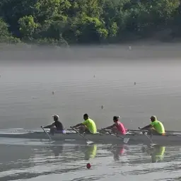 Operationeel Management Professional