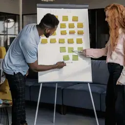 Projectmanagement 2 Professional