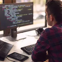 ICT & Digitalisering vakgebied Professional