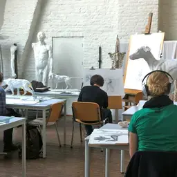 Master Scientific Illustration Zuyd Professional