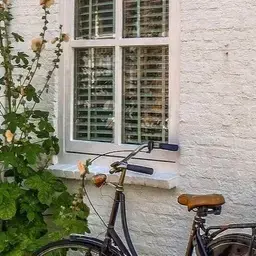 Wijkgerichte zorg portfolio