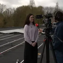 zonnepanelen 1.jpg