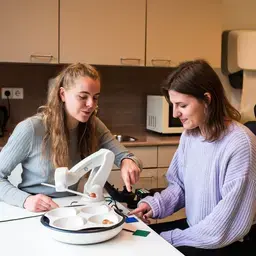 Ergotherapie BSG studenten oefenen.jpg