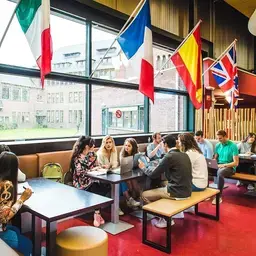 Reactie Internationalisering in balans.jpg