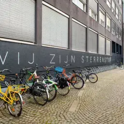 sterrenstof 750x500.png