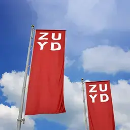 Vlaggen zuyd 1000x1000.jpg