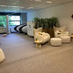 Zen Zone I 750x500 (4).png